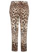 Dolce & Gabbana pants leopard