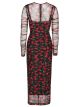 Dolce & Gabbana dress black/red